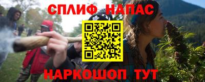 мет Кингисепп