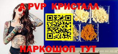 мет Кингисепп