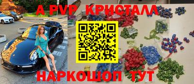 мет Кингисепп