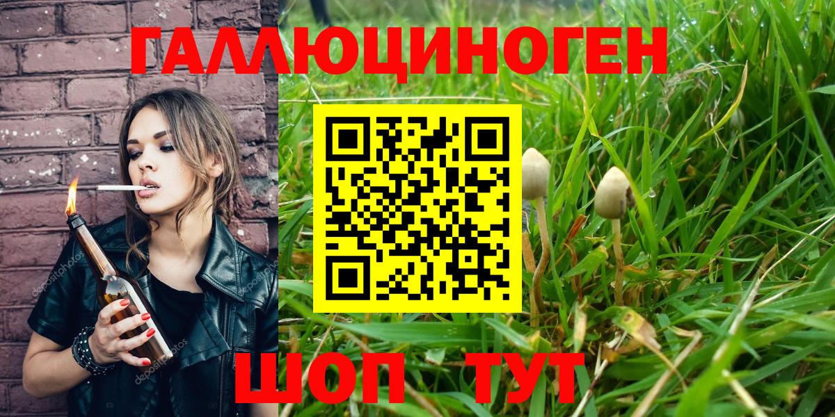 Галлюциногенные грибы мухоморы  Вход с VPN  Галлюциногенные грибы мицелий  Черкесск 