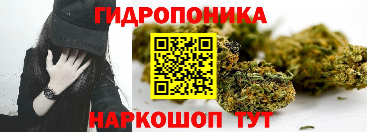 Бошки Шишки Amnesia Черкесск